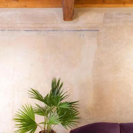 Palazzo Scappi Gardi Luxury Apartmán *